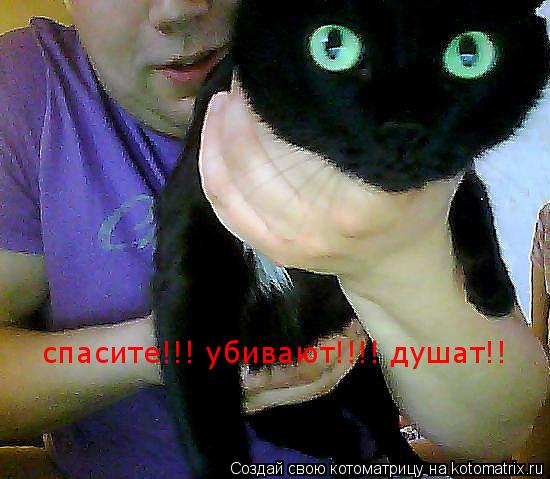 спасите!!! убивают!!!! душат!!... Котоматрица: спасите!!! убивают!!!! душат!!