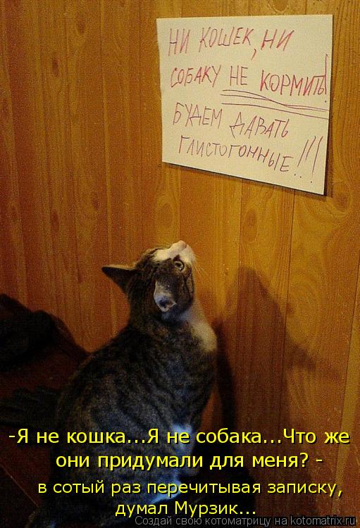 -Я не кошка...Я не собака...Что же в сотый раз перечитывая записку, думал Мурзик... они придумали д... Котоматрица: -Я не кошка...Я не собака...Что же в сотый раз перечитывая записку, думал Мурзик... они придумали для меня? -
