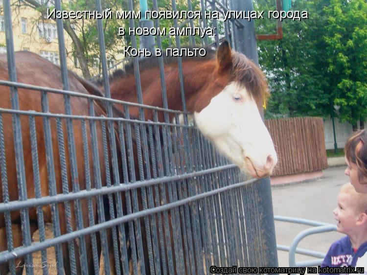 Известный мим появился на улицах города в новом амплуа: Конь в пальто... Котоматрица: Известный мим появился на улицах города в новом амплуа: Конь в пальто