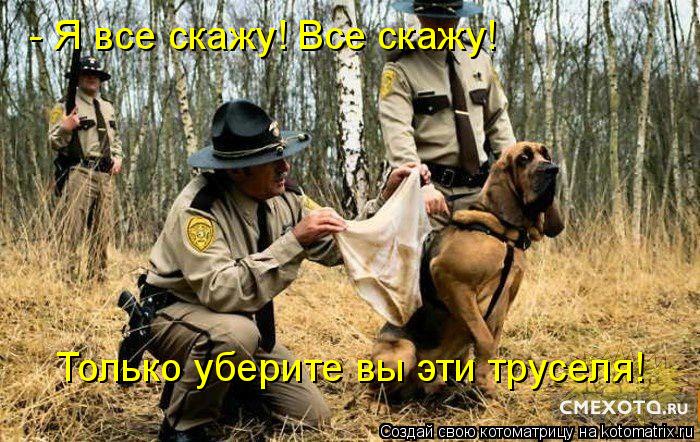 - Я все скажу! Все скажу! Только уберите вы эти труселя!... Котоматрица: - Я все скажу! Все скажу! Только уберите вы эти труселя!