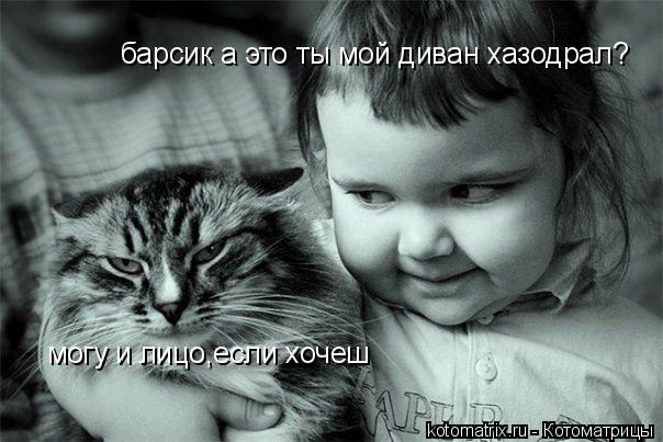 барсик а это ты мой диван хазодрал? могу и лицо,если хочеш... Котоматрица: барсик а это ты мой диван хазодрал? могу и лицо,если хочеш