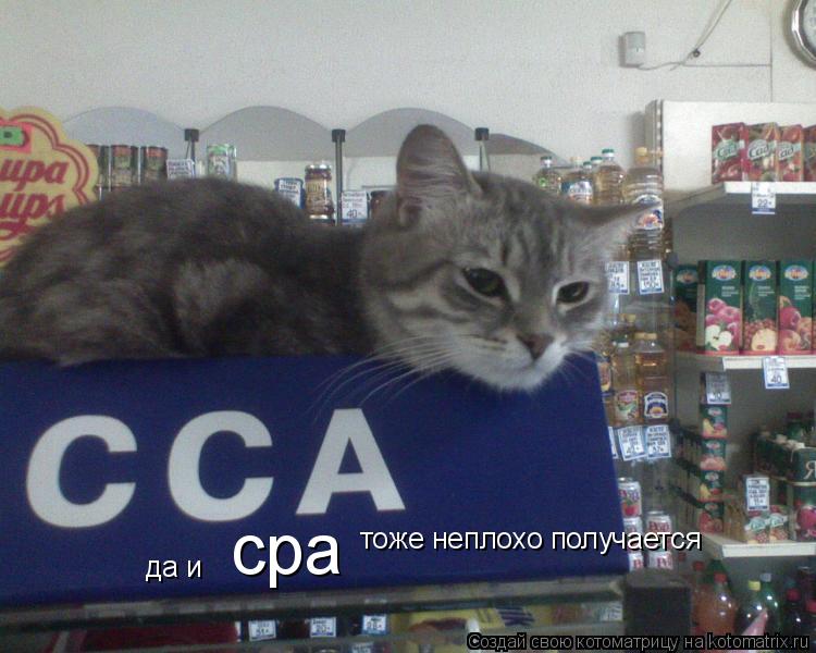 да и сра тоже неплохо получается... Котоматрица: да и сра тоже неплохо получается