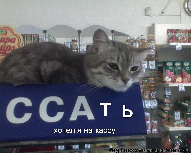 т ь хотел я на кассу... Котоматрица: т ь хотел я на кассу