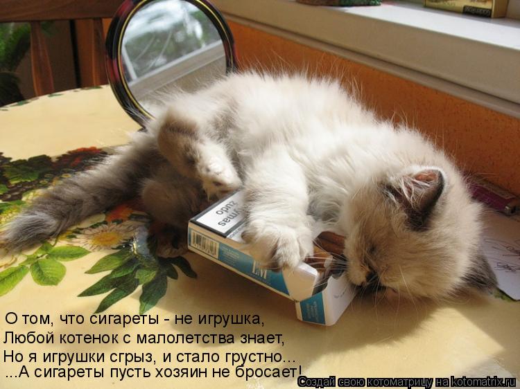 Котоматрица: О том, что сигареты - не игрушка,  Любой котенок с малолетства знает, Но я игрушки сгрыз, и стало грустно... ...А сигареты пусть хозяин не бросае