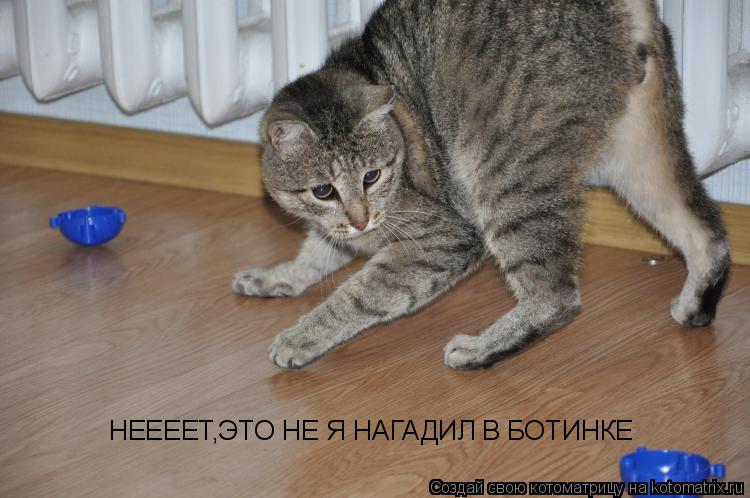 НЕЕЕЕТ,ЭТО НЕ Я НАГАДИЛ В БОТИНКЕ... Котоматрица: НЕЕЕЕТ,ЭТО НЕ Я НАГАДИЛ В БОТИНКЕ
