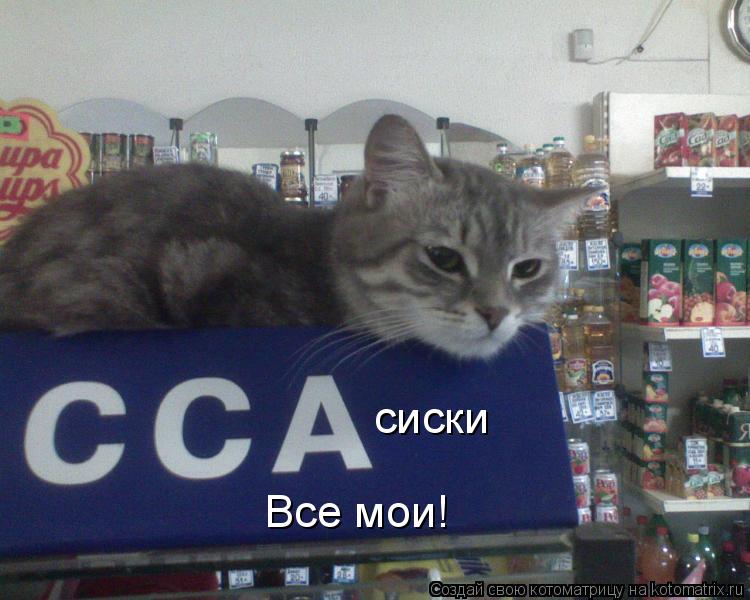 сиски Все мои!... Котоматрица: сиски Все мои!