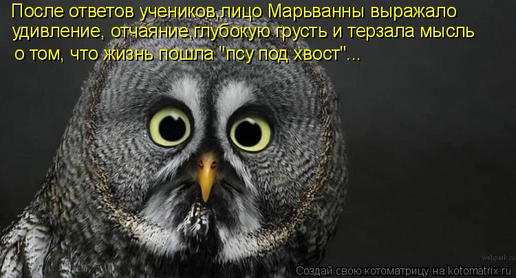 После ответов учеников,лицо Марьванны выражало удивление, отчаяние,глубокую грусть и терзала мысль о ... Котоматрица: После ответов учеников,лицо Марьванны выражало удивление, отчаяние,глубокую грусть и терзала мысль о том, что жизнь пошла "псу под хвост"...
