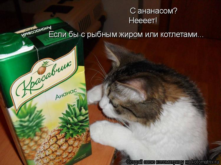 С ананасом? Неееет! Если бы с рыбным жиром или котлетами...... Котоматрица: С ананасом? Неееет! Если бы с рыбным жиром или котлетами...