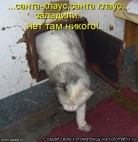 ...санта-клаус,санта клаус... заладили.. нет там никого!...... Котоматрица: ...санта-клаус,санта клаус... заладили.. нет там никого!...