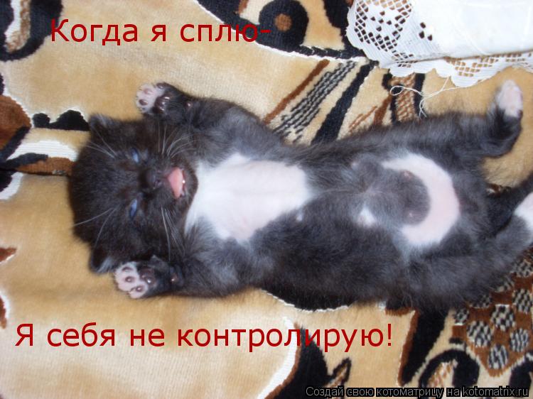 Когда я сплю- Я себя не контролирую!... Котоматрица: Когда я сплю- Я себя не контролирую!