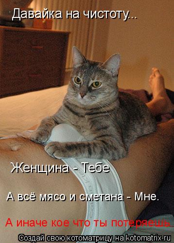 Давайка на чистоту... Женщина - Тебе А всё мясо и сметана - Мне. А иначе кое что ты потеряешь.... Котоматрица: Давайка на чистоту... Женщина - Тебе А всё мясо и сметана - Мне. А иначе кое что ты потеряешь.