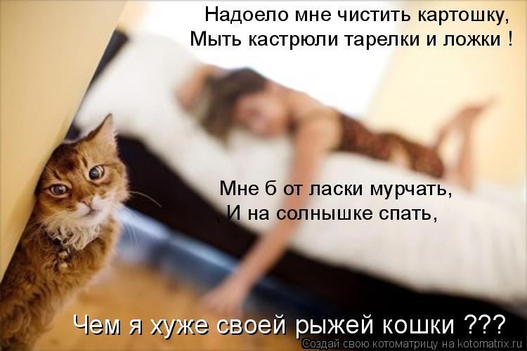 Котоматрица: Надоело мне чистить картошку, Мыть кастрюли тарелки и ложки ! Мне б от ласки мурчать, , И на солнышке спать,  Чем я хуже своей рыжей кошки ???