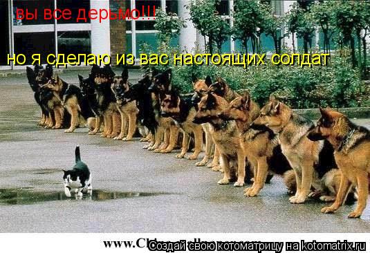 вы все дерьмо!!! но я сделаю из вас настоящих солдат... Котоматрица: вы все дерьмо!!! но я сделаю из вас настоящих солдат