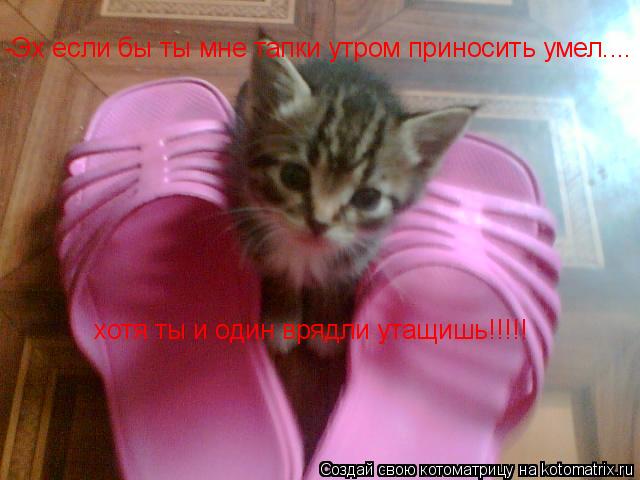 -Эх если бы ты мне тапки утром приносить умел.... хотя ты и один врядли утащишь!!!!!... Котоматрица: -Эх если бы ты мне тапки утром приносить умел.... хотя ты и один врядли утащишь!!!!!