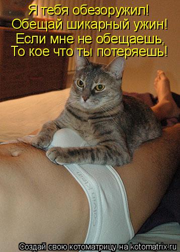 Я тебя обезоружил! Обещай шикарный ужин! Если мне не обещаешь, То кое что ты потеряешь!... Котоматрица: Я тебя обезоружил! Обещай шикарный ужин! Если мне не обещаешь, То кое что ты потеряешь!