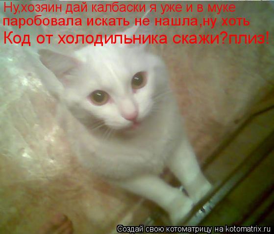 Ну,хозяин дай калбаски я уже и в муке паробовала искать не нашла,ну хоть Код от холодильника скажи?... Котоматрица: Ну,хозяин дай калбаски я уже и в муке паробовала искать не нашла,ну хоть Код от холодильника скажи?плиз!