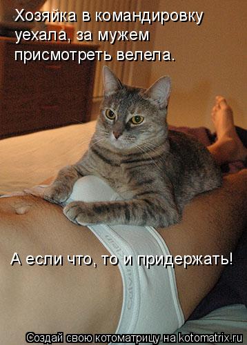 Хозяйка в командировку уехала, за мужем присмотреть велела. А если что, то и придержать!... Котоматрица: Хозяйка в командировку уехала, за мужем присмотреть велела. А если что, то и придержать!