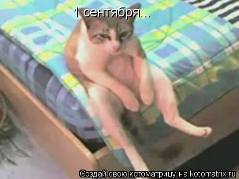 1 сентября...... Котоматрица: 1 сентября...