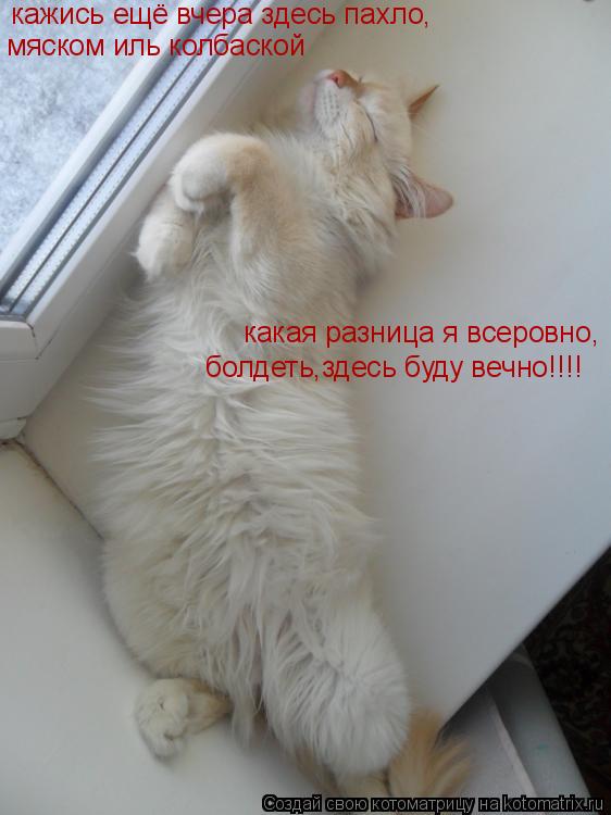 кажись,ёщо вчера здесь пахло,маслом и колбаскоой, кажись ещё вчера здесь пахло, мяском иль колбаской ... Котоматрица: кажись,ёщо вчера здесь пахло,маслом и колбаскоой, кажись ещё вчера здесь пахло, мяском иль колбаской какая разница я всеровно, болдеть,здес