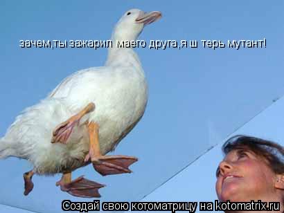 зачем,ты зажарил маего друга,я ш терь мутант!... Котоматрица: зачем,ты зажарил маего друга,я ш терь мутант!