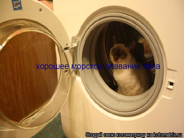 хорошее морское плавание пока... Котоматрица: хорошее морское плавание пока