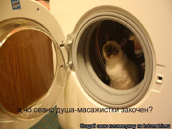 а,чо сеанс душа-масажистки закочен?... Котоматрица: а,чо сеанс душа-масажистки закочен?