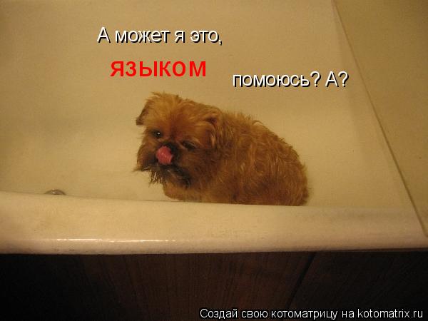 А может я это, помоюсь? А? языком... Котоматрица: А может я это, помоюсь? А? языком