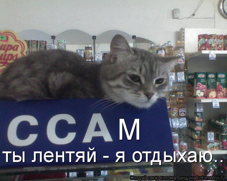 М ты лентяй - я отдыхаю..... Котоматрица: М ты лентяй - я отдыхаю..