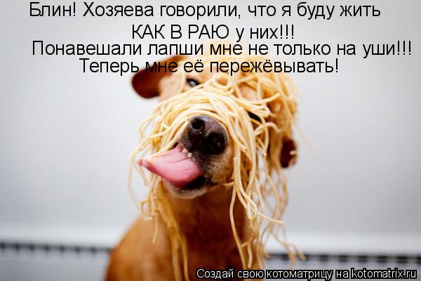 Блин! Хозяева говорили, что я буду жить КАК В РАЮ у них!!! Теперь мне её пережёвывать! Понавешали лап... Котоматрица: Блин! Хозяева говорили, что я буду жить КАК В РАЮ у них!!! Теперь мне её пережёвывать! Понавешали лапши мне не только на уши!!!