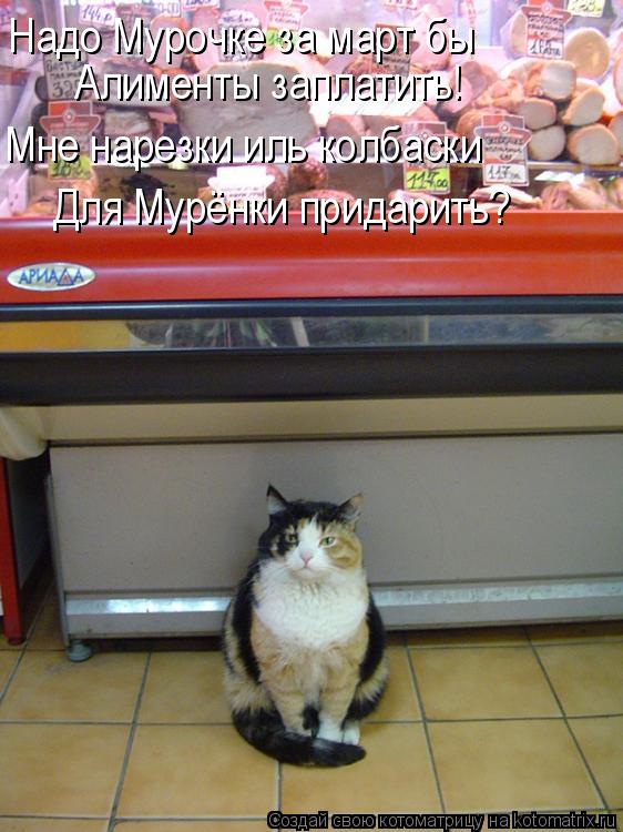 Надо Мурочке за март бы Алименты заплатить! Мне нарезки иль колбаски Для Мурёнки придарить?... Котоматрица: Надо Мурочке за март бы Алименты заплатить! Мне нарезки иль колбаски Для Мурёнки придарить?