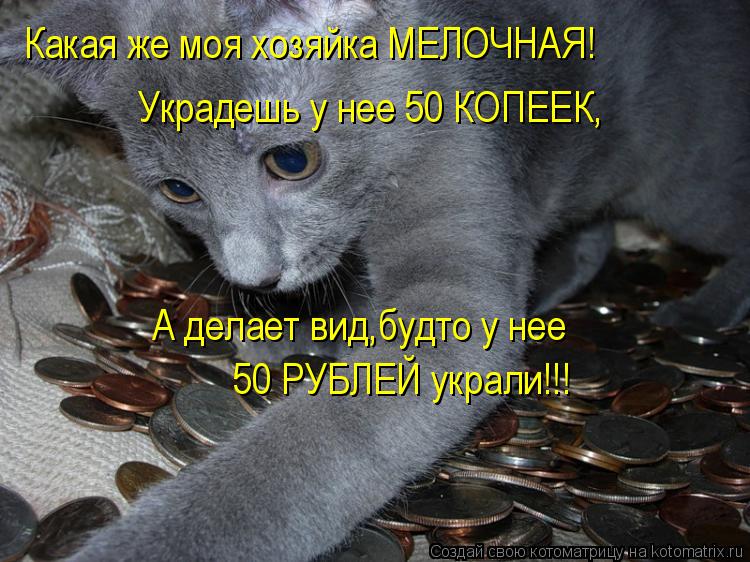 Какая же моя хозяйка МЕЛОЧНАЯ! Украдешь у нее 50 КОПЕЕК, А делает вид,будто у нее 50 РУБЛЕЙ украли!!!... Котоматрица: Какая же моя хозяйка МЕЛОЧНАЯ! Украдешь у нее 50 КОПЕЕК, А делает вид,будто у нее 50 РУБЛЕЙ украли!!!