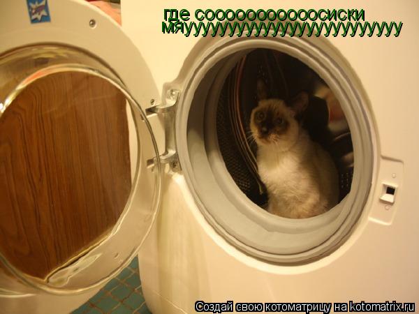 где сооооооооооосиски мяууууууууууууууууууууууууу... Котоматрица: где сооооооооооосиски мяууууууууууууууууууууууууу