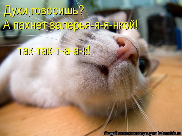 Духи,говоришь? А пахнет валерья-я-я-нкой! так-так-т-а-а-к!... Котоматрица: Духи,говоришь? А пахнет валерья-я-я-нкой! так-так-т-а-а-к!