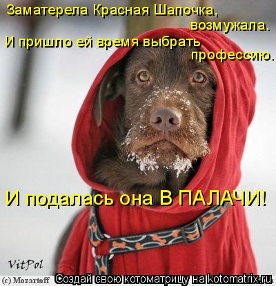 Заматерела Красная Шапочка, возмужала. И пришло ей время выбрать профессию. И подалась она В ПАЛАЧИ!... Котоматрица: Заматерела Красная Шапочка, возмужала. И пришло ей время выбрать профессию. И подалась она В ПАЛАЧИ!