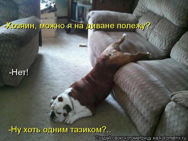 Котоматрица: -Хозяин, можно я на диване полежу? -Нет! -Ну хоть одним тазиком?..