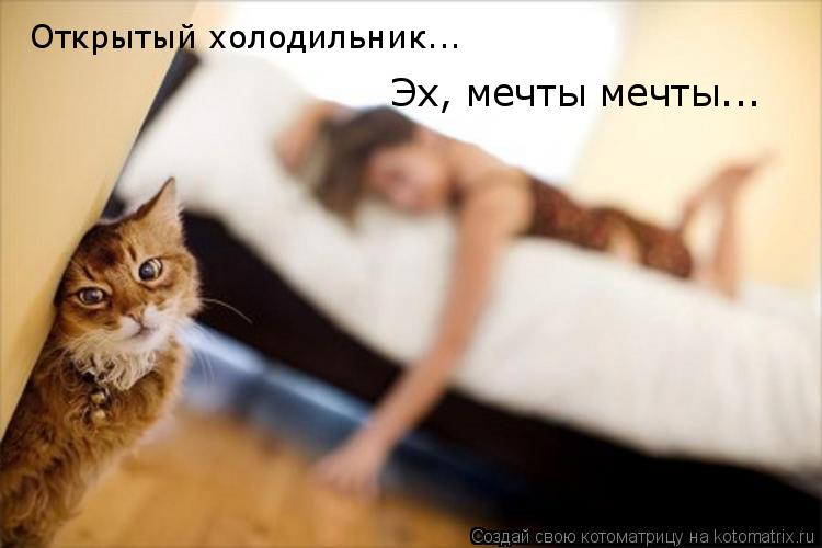 Котоматрица: Открытый холодильник... Эх, мечты мечты...