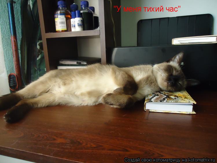 Котоматрица: "У меня тихий час"