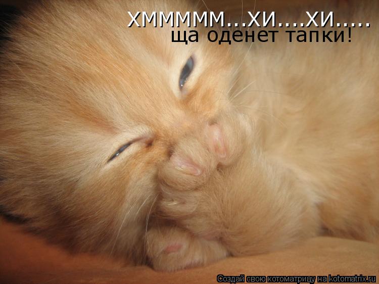 Котоматрица: ХМММММ...ХИ....ХИ..... ща оденет тапки!