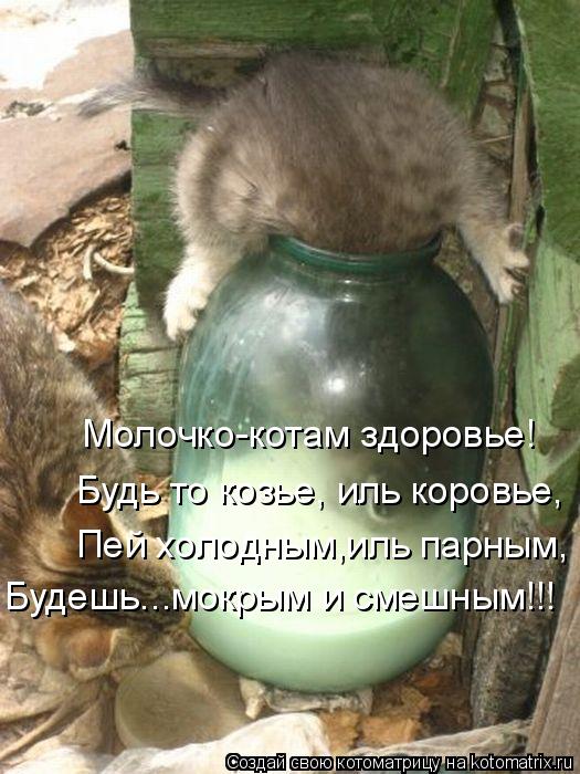 Молочко-котам здоровье! Будь то козье, иль коровье, Пей холодным,иль парным, Будешь...мокрым и смешны... Котоматрица: Молочко-котам здоровье! Будь то козье, иль коровье, Пей холодным,иль парным, Будешь...мокрым и смешным!!!