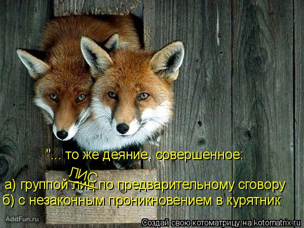 "... то же деяние, совершенное: а) группой лиц по предварительному сговору ____ ЛИС б) с незаконным п... Котоматрица: "... то же деяние, совершенное: а) группой лиц по предварительному сговору ____ ЛИС б) с незаконным проникновением в курятник