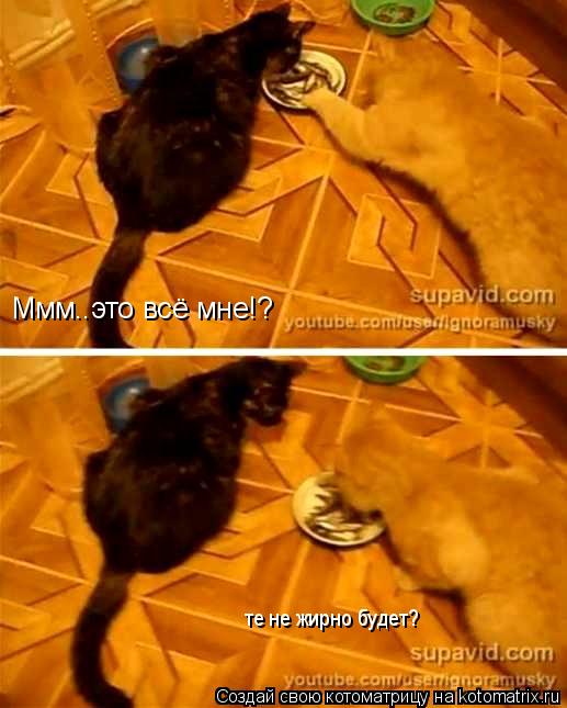 Котоматрица: Ммм..это всё мне!? те не жирно будет?