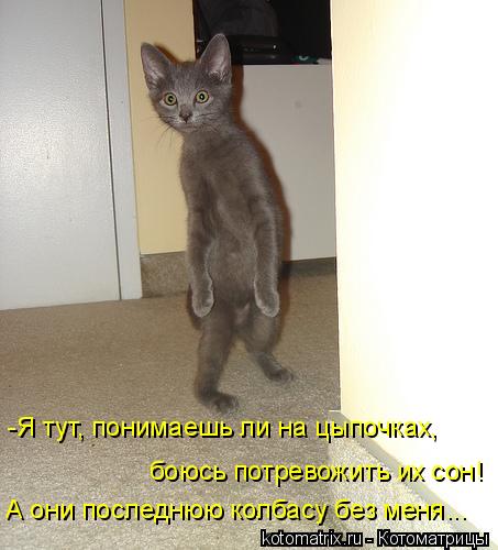 А они последнюю колбасу без меня... боюсь потревожить их сон! -Я тут, понимаешь ли на цыпочках,... Котоматрица: А они последнюю колбасу без меня... боюсь потревожить их сон! -Я тут, понимаешь ли на цыпочках,