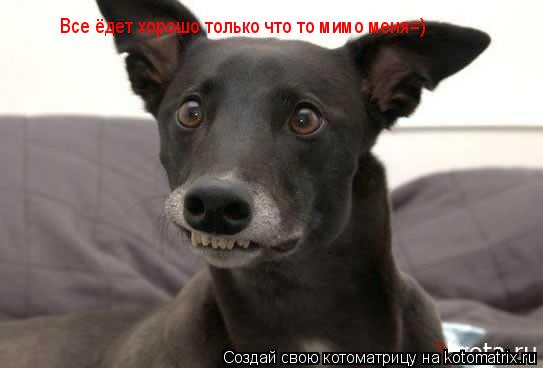 Все ёдет хорошо только что то мимо меня=)... Котоматрица: Все ёдет хорошо только что то мимо меня=)