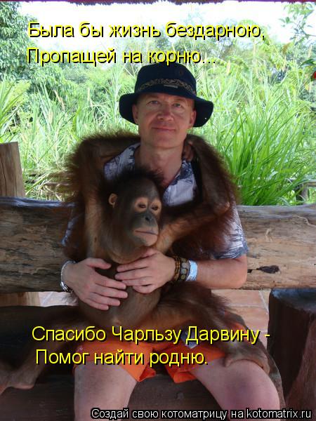 Была бы жизнь бездарною, Пропащей на корню... Спасибо Чарльзу Дарвину - Помог найти родню.... Котоматрица: Была бы жизнь бездарною, Пропащей на корню... Спасибо Чарльзу Дарвину - Помог найти родню.