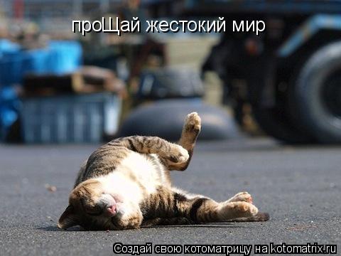 проЩай жестокий мир... Котоматрица: проЩай жестокий мир