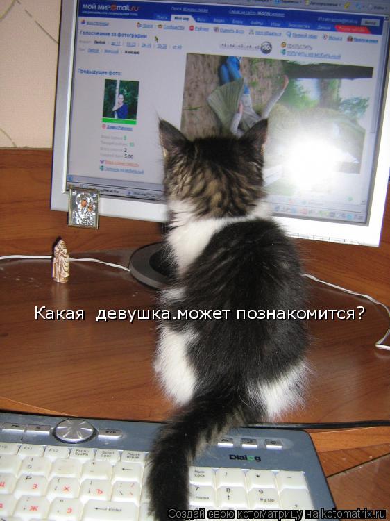 Какая девушка.может познакомится?... Котоматрица: Какая девушка.может познакомится?
