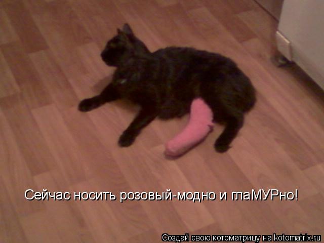 Сейчас носить розовый-модно и глаМУРно!... Котоматрица: Сейчас носить розовый-модно и глаМУРно!