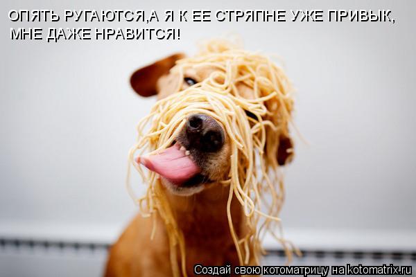 ОПЯТЬ РУГАЮТСЯ,А Я К ЕЕ СТРЯПНЕ УЖЕ ПРИВЫК, МНЕ ДАЖЕ НРАВИТСЯ!... Котоматрица: ОПЯТЬ РУГАЮТСЯ,А Я К ЕЕ СТРЯПНЕ УЖЕ ПРИВЫК, МНЕ ДАЖЕ НРАВИТСЯ!