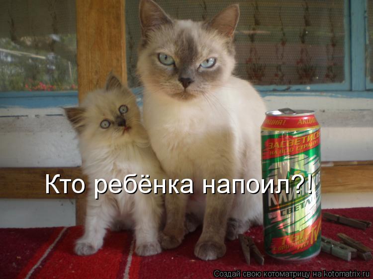 Кто ребёнка напоил?!... Котоматрица: Кто ребёнка напоил?!