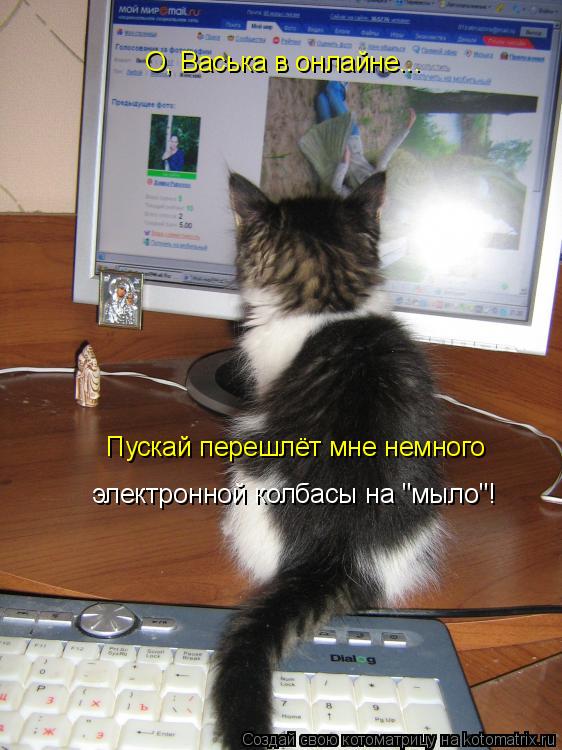 О, Васька в онлайне... Пускай перешлёт мне немного электронной колбасы на "мыло"!... Котоматрица: О, Васька в онлайне... Пускай перешлёт мне немного электронной колбасы на "мыло"!
